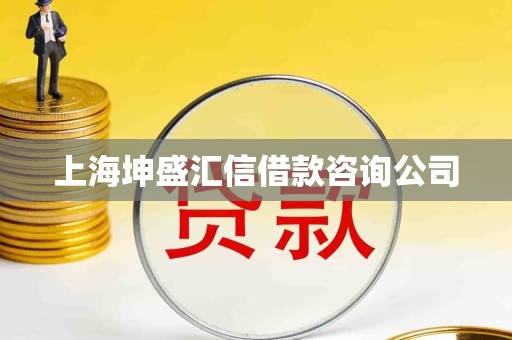 上海坤盛汇信借款咨询公司