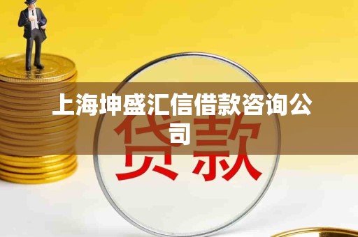  上海坤盛汇信借款咨询公司